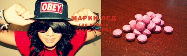 стафф Алексин
