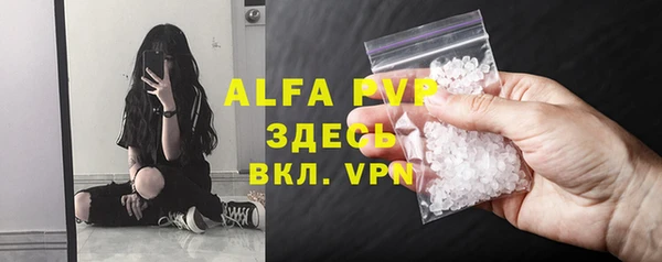 стафф Алексин