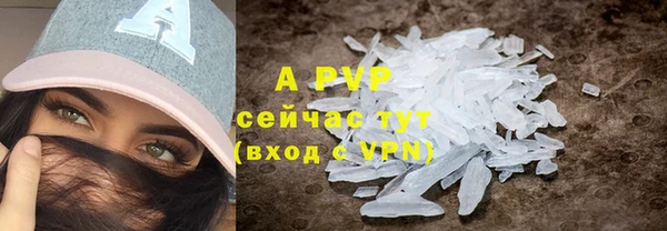 стафф Алексин