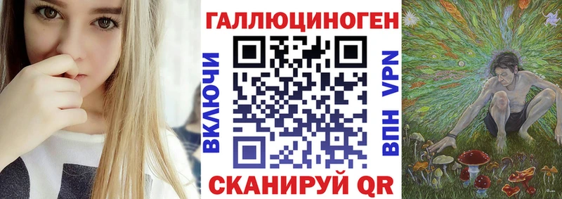 мега как войти Котлас Псилоцибиновые грибы Psilocybine cubensis