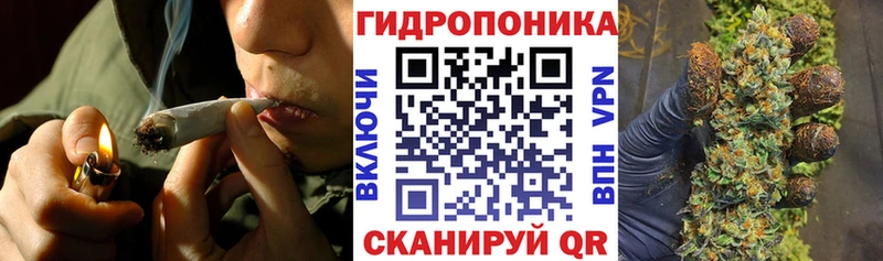 наркотики  Котлас  Бошки марихуана AK-47 